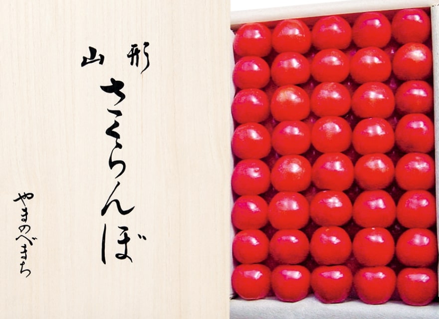 佐藤錦