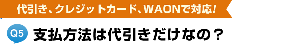 支払方法は代引きだけなの？