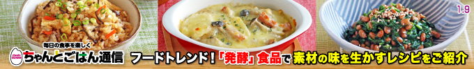 ちゃんとごはん通信
