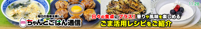 ちゃんとごはん通信